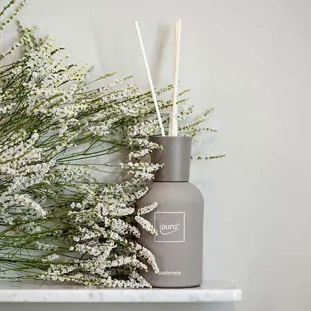 Il Genovino 제노바